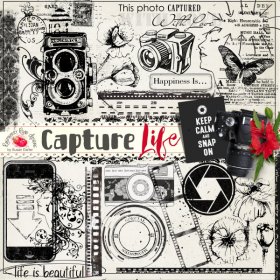 Capture Life Stamps