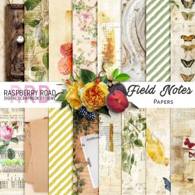 Field Notes Papers