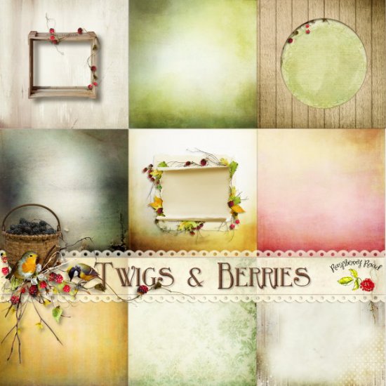 Twigs & Berries Paper Set - Click Image to Close