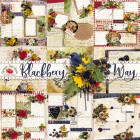 Blackberry Way Mixed Set