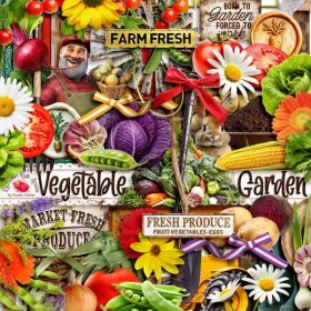 Vegetable Garden Elements