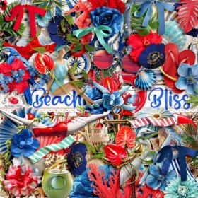 Beach Bliss Elements