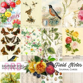 Field Notes Journal Cards