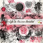 Life In Pictures Revisited Stamp Set Life In Pictures Revisited Stamp Set