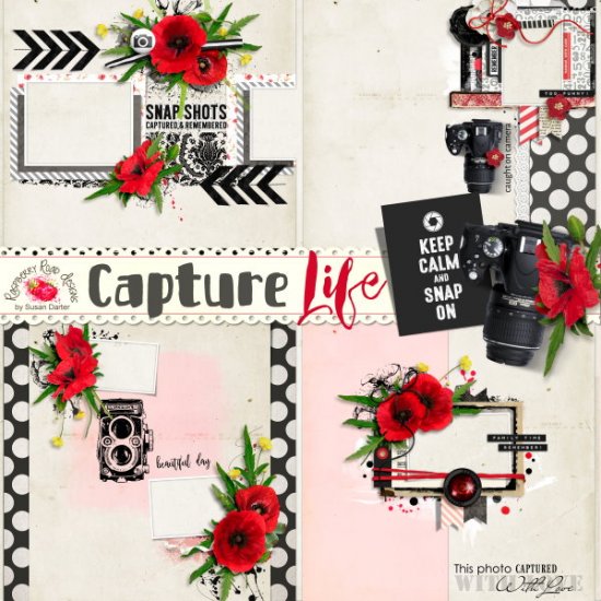 Capture Life QP Set - Click Image to Close