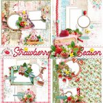 Strawberry Season QP Set