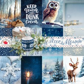 Winter Meadow Journal Cards