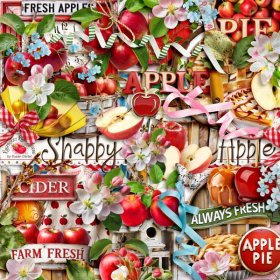 Shabby Apple Elements
