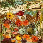 Vintage Fall CU Set3 Vintage Fall CU Set3