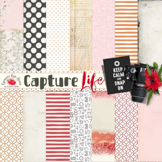 Capture Life Papers - Click Image to Close