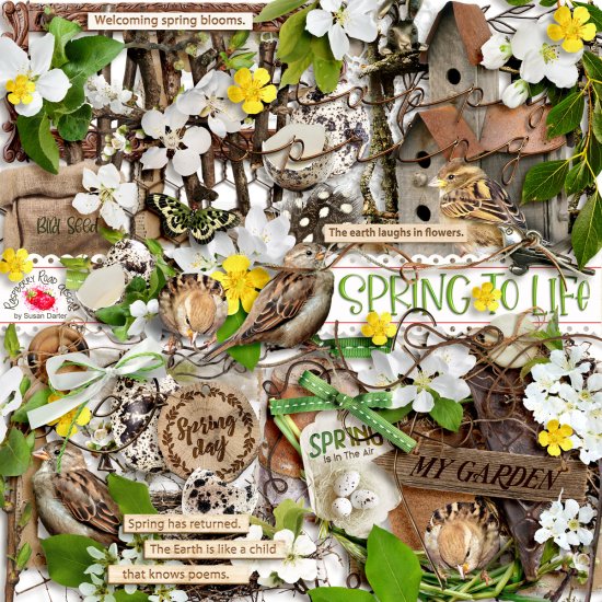 Spring To Life Collection