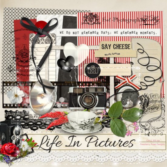 Life In Pictures Add On Kit - Click Image to Close