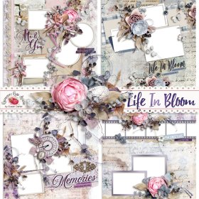 Life In Bloom QP Set