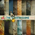 The Y Chromosome Paper Set