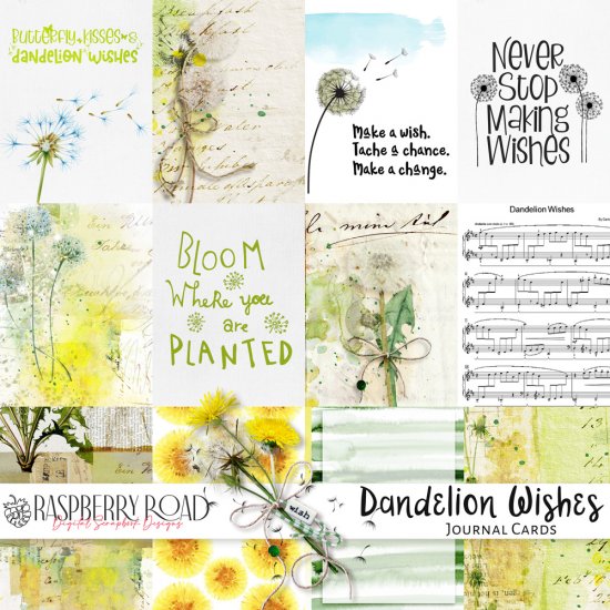 Dandelion Wishes Journal Cards