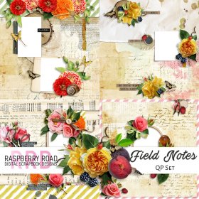 Field Notes QP Set