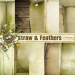 Straw & Feathers Paper Set 1