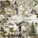 Winters Beauty Element Set