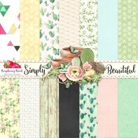 Simply Beautiful Paper Set