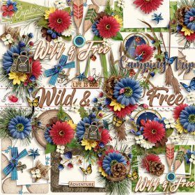 Wild & Free Mixed Cluster Set