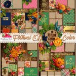 Festival Of Color QP Set Festival Of Color QP Set