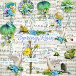 Spring Rain Side Clusters