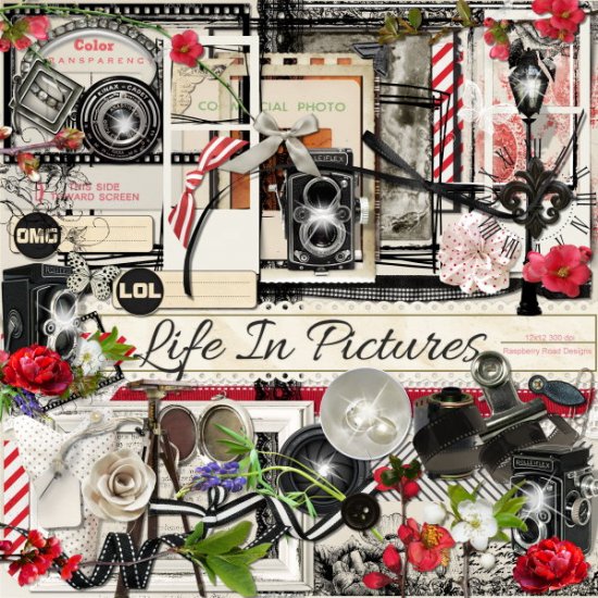 Life In Pictures Element Set - Click Image to Close