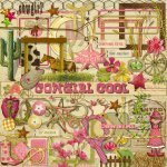 Cowgirl Cool Element Set