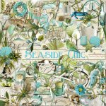 Seaside Chic Element Set