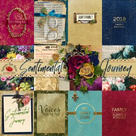 Sentimental Journey Journal Cards