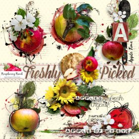 Freshly Picked Mixed Media Apples