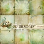 Feathered Nest Papers