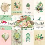 Simply Beautiful Journal Cards Simply Beautiful Journal Cards