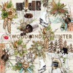 Woodland Winter Side Clusters Woodland Winter Side Clusters
