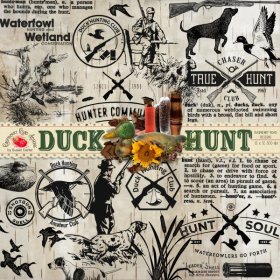 Duck Hunt Stamps
