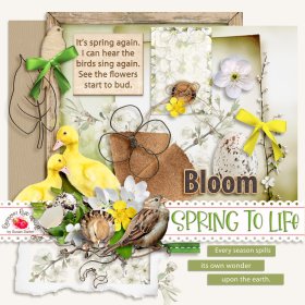 Spring To Life Freebie