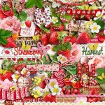Strawberry Harvest Elements