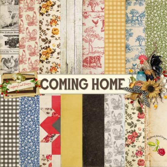 Coming Home Papers - Click Image to Close
