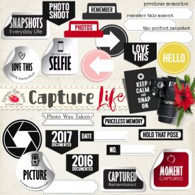 Capture Life Labels
