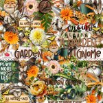 Garden Gnome Clusters