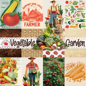 Vegetable Garden Cards