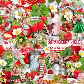 Strawberry Fields Elements