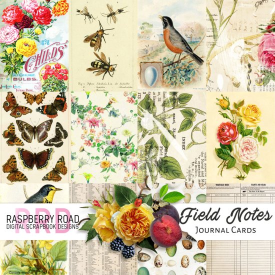 Field Notes Journal Cards