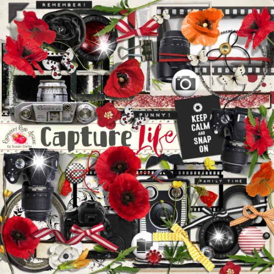 Capture Life Elements - Click Image to Close