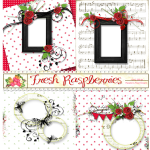 Fresh Raspberries Qp Set