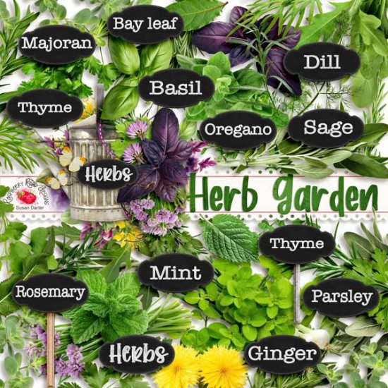Herb Garden Herbs - Click Image to Close