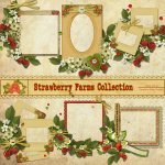 Strawberry Farms Clusters