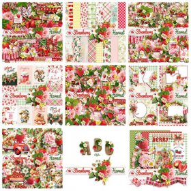Strawberry Harvest Collection