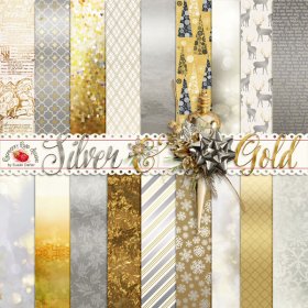 Silver & Gold Paper Set