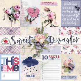 Sweet Disaster Journal Cards